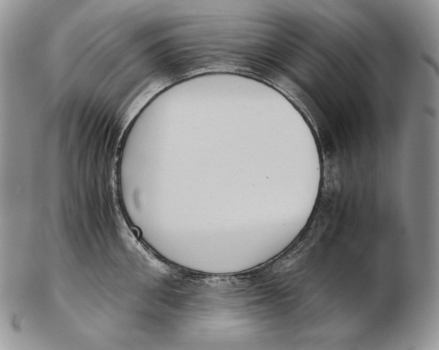 X0000102370906200808221736