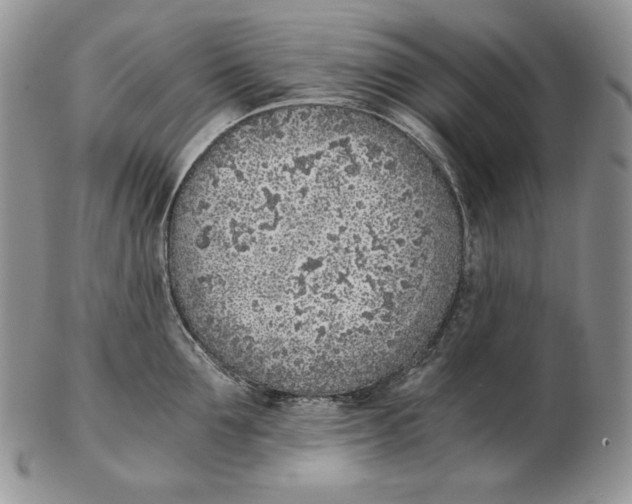 X0000102370907200808221736