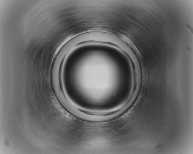 X0000102370908200808221736