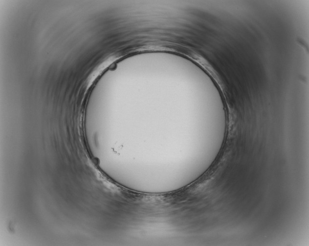 X0000102370909200808221736