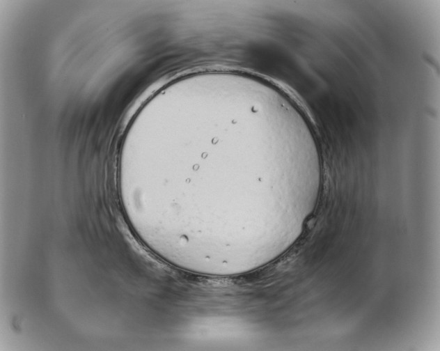 X0000102370911200808221736