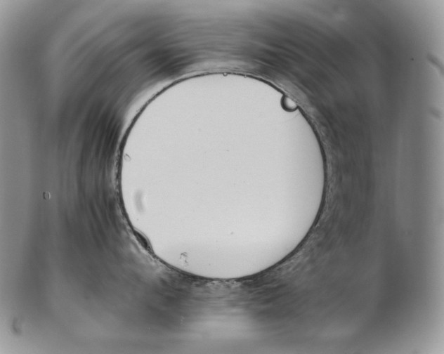 X0000102370912200808221736