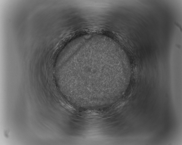 X0000102370913200808221735