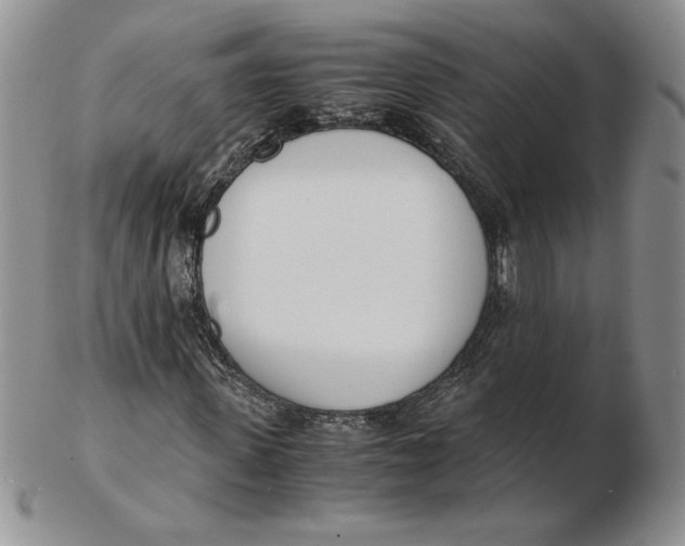 X0000102370915200808221735