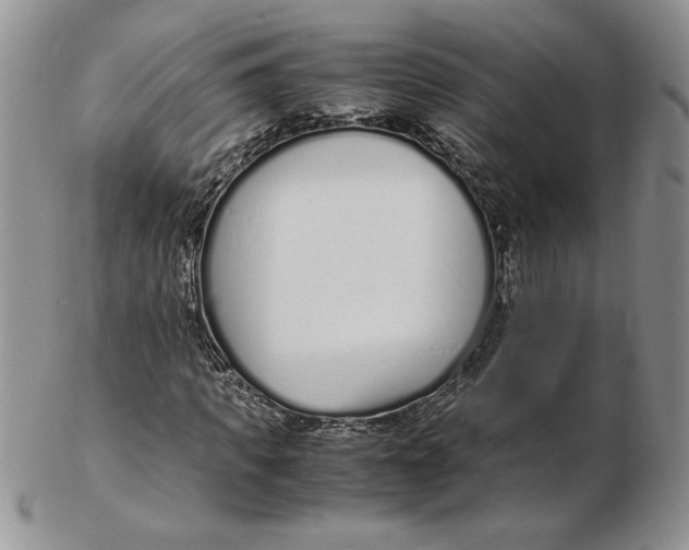 X0000102370917200808221735