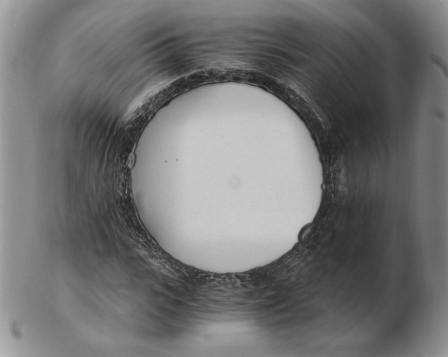 X0000102370919200808221735