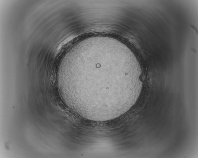 X0000102370920200808221735