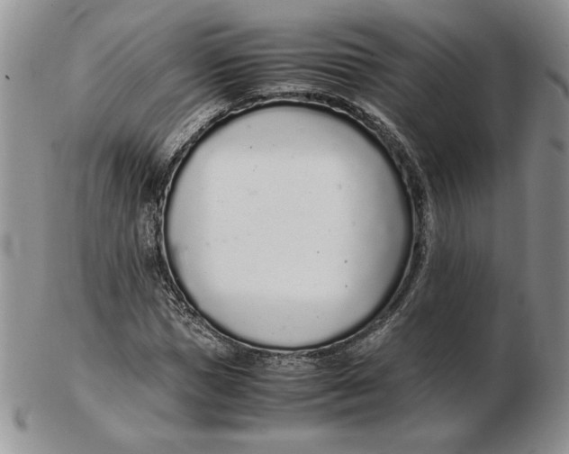 X0000102370921200808221735