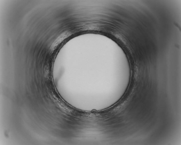 X0000102370922200808221735