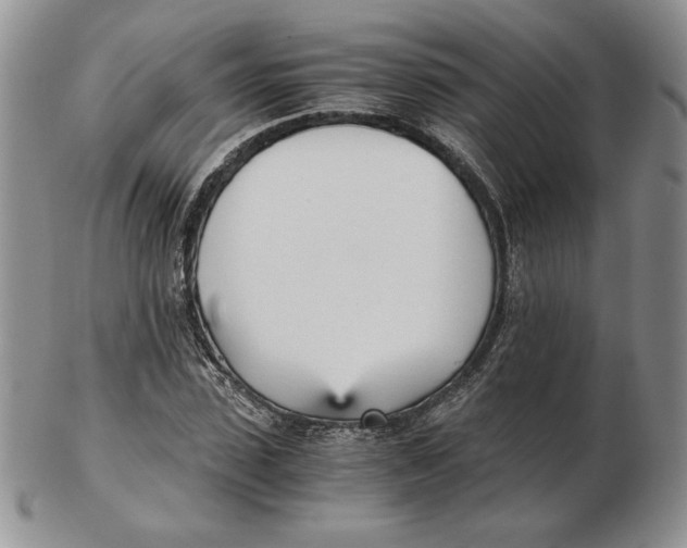 X0000102370923200808221735