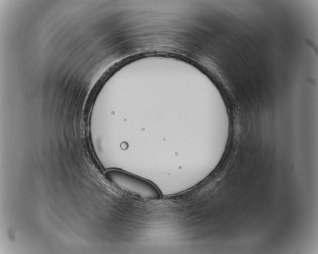 X0000102370924200808221735