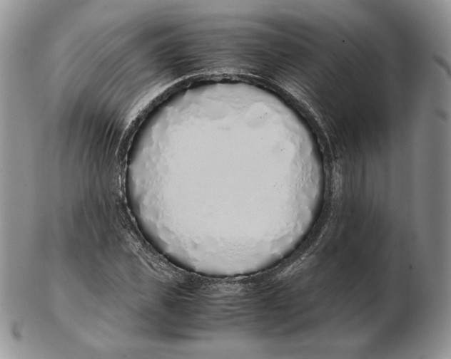 X0000102370925200808221735