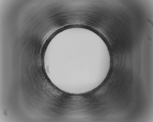 X0000102370927200808221735