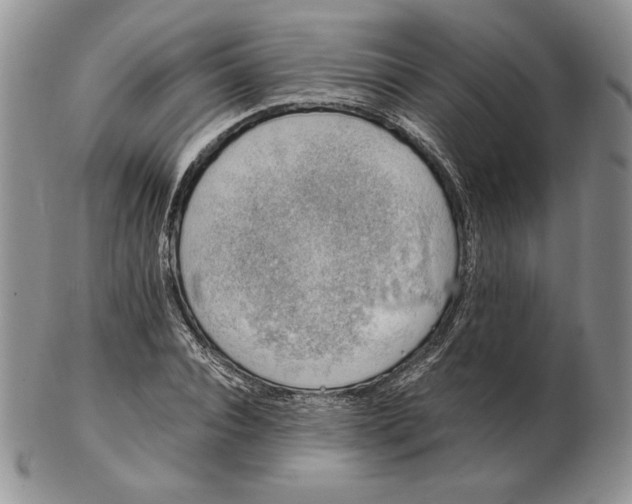 X0000102370928200808221735