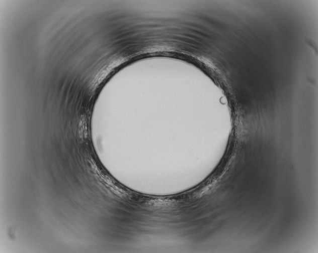 X0000102370929200808221735