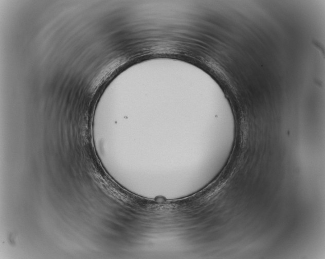 X0000102370930200808221735