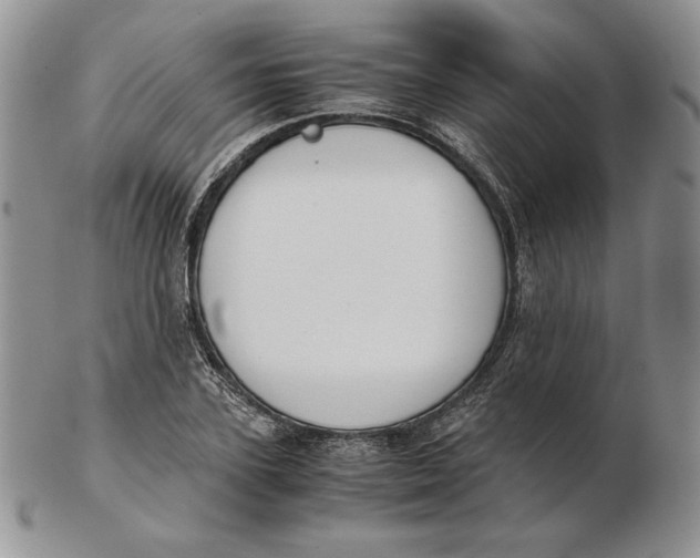 X0000102370931200808221735