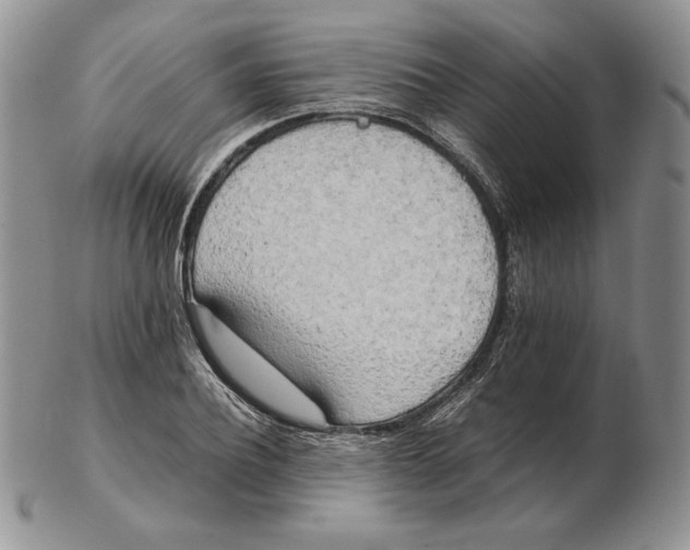 X0000102370932200808221735