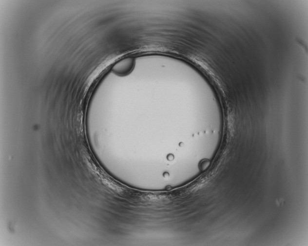 X0000102370933200808221736