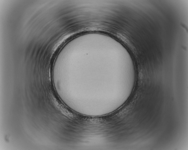 X0000102370934200808221736