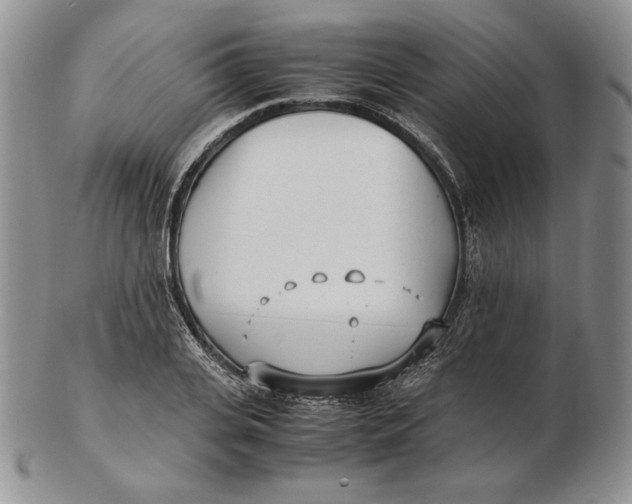 X0000102370935200808221736