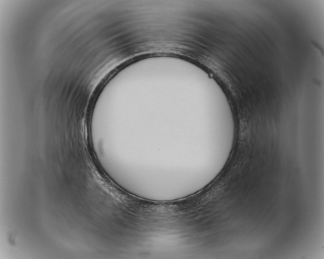 X0000102370936200808221736