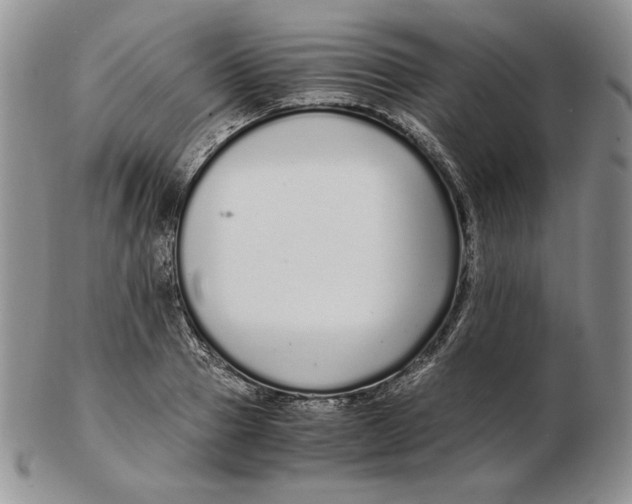 X0000102370937200808221736