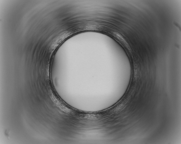 X0000102370938200808221736