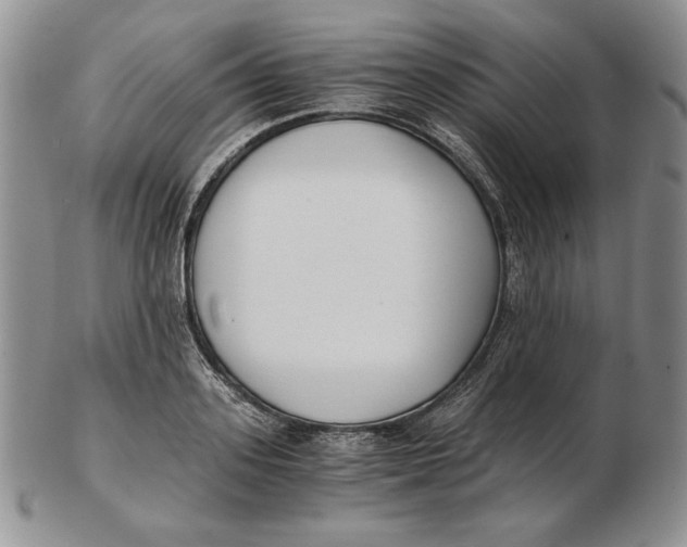 X0000102370939200808221736