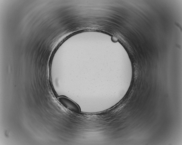 X0000102370940200808221736