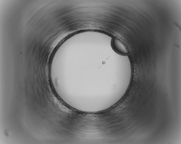 X0000102370942200808221736