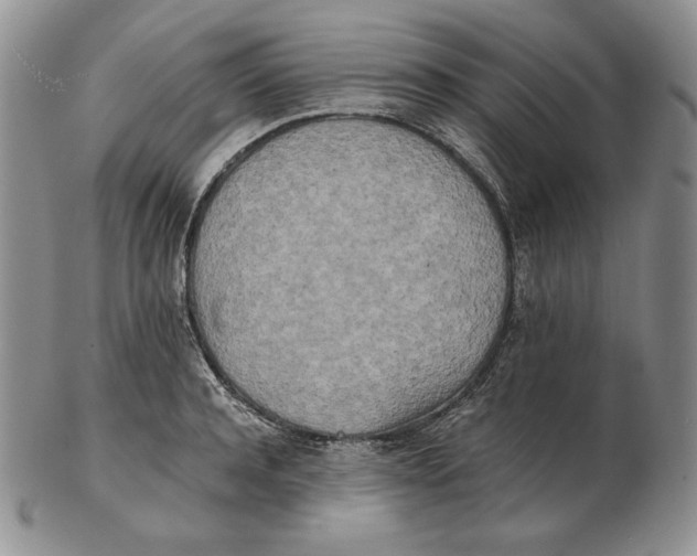 X0000102370944200808221736