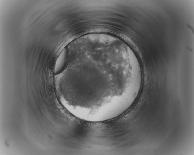 X0000102370945200808221736