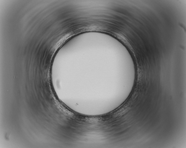 X0000102370946200808221736