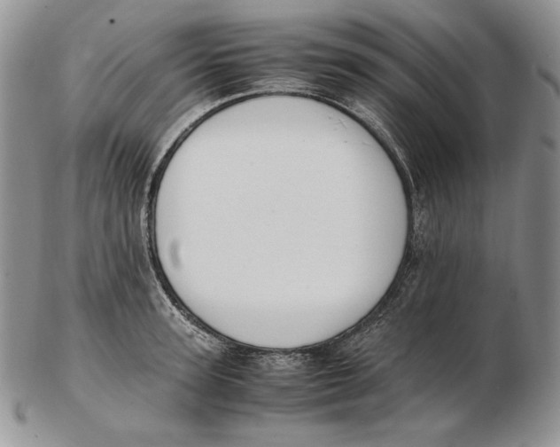 X0000102370947200808221736