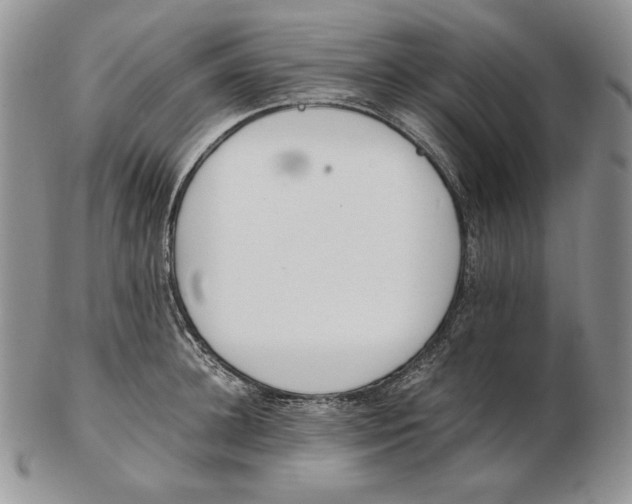 X0000102370948200808221736