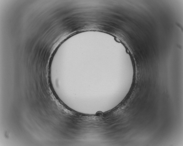 X0000102370949200808221736