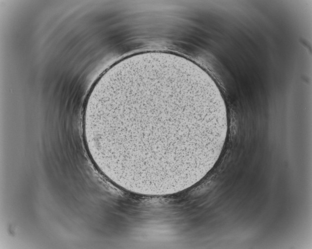 X0000102370950200808221736