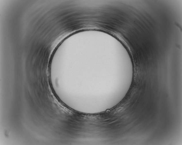 X0000102370951200808221736