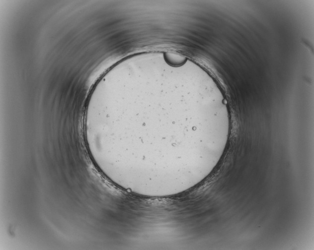 X0000102370952200808221736