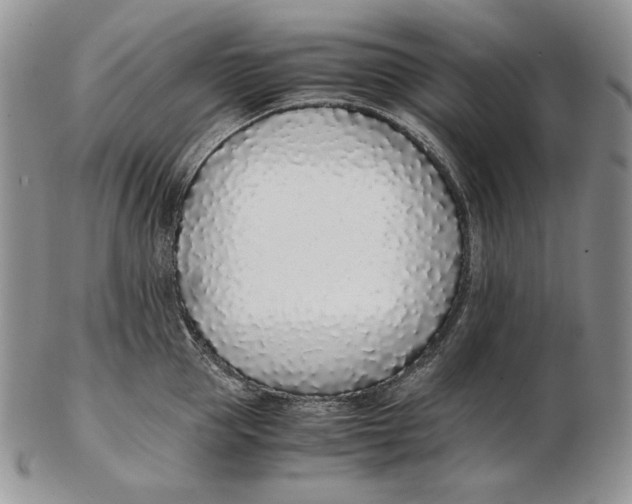 X0000102370953200808221736