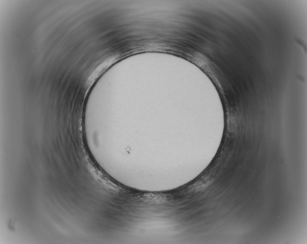 X0000102370954200808221736