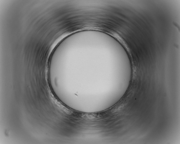 X0000102370955200808221736