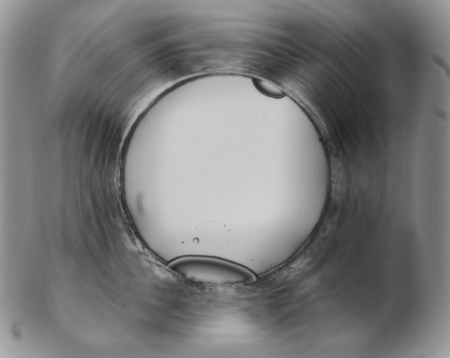 X0000102370956200808221736