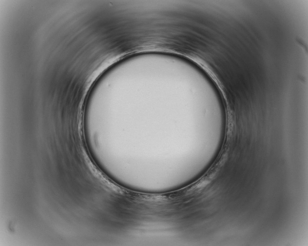 X0000102370957200808221736