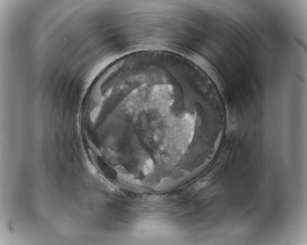 X0000102370958200808221736