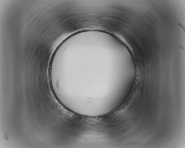 X0000102370959200808221736