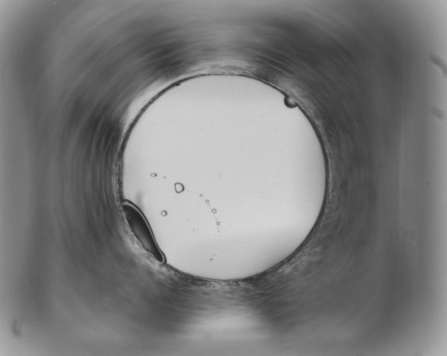 X0000102370960200808221736