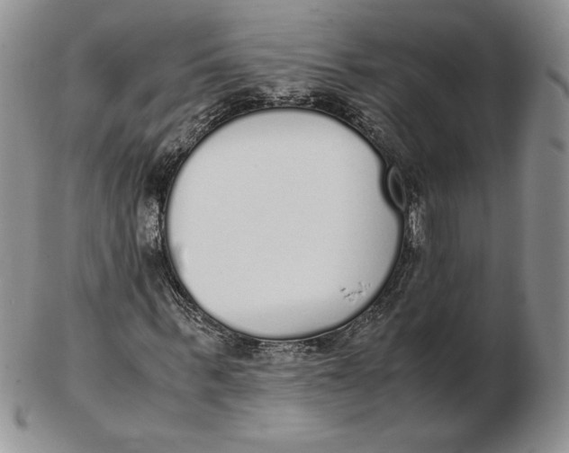 X0000102370963200808221735