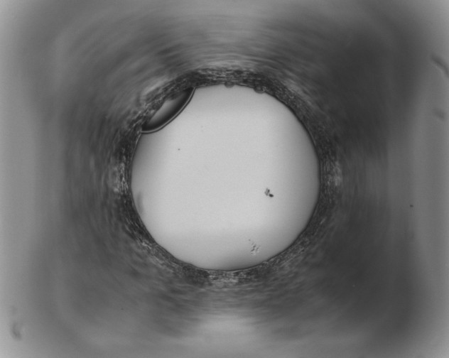 X0000102370965200808221735